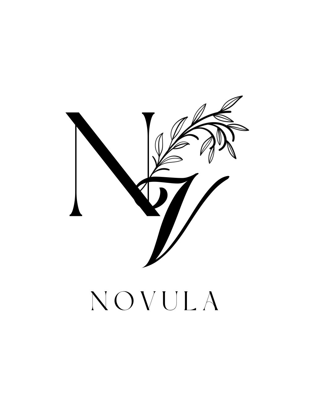 Novula