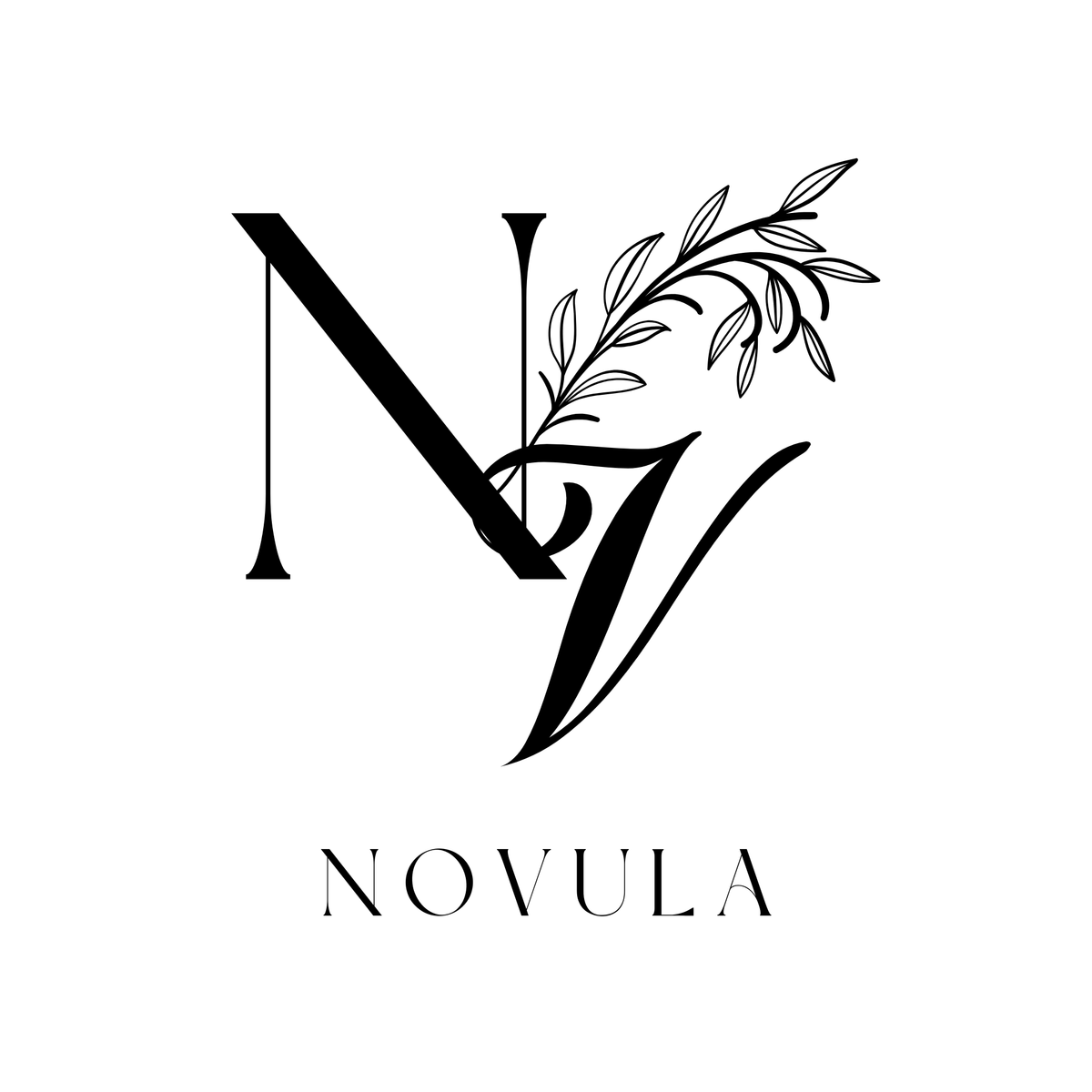 Novula